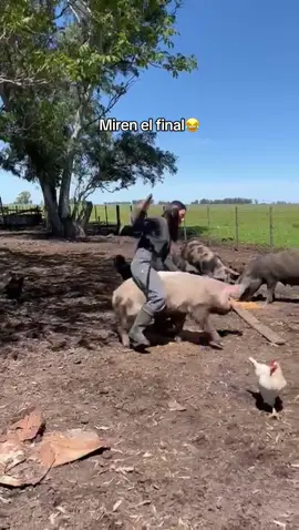 No tiene desperdicio 😂  #campoargentino🌱🌾🌻🐮🐂 #chancho #parati #gracioso #fyp 