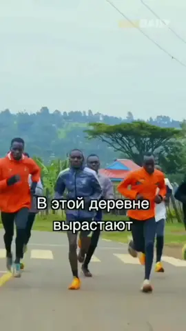 #врек #мем #батек 