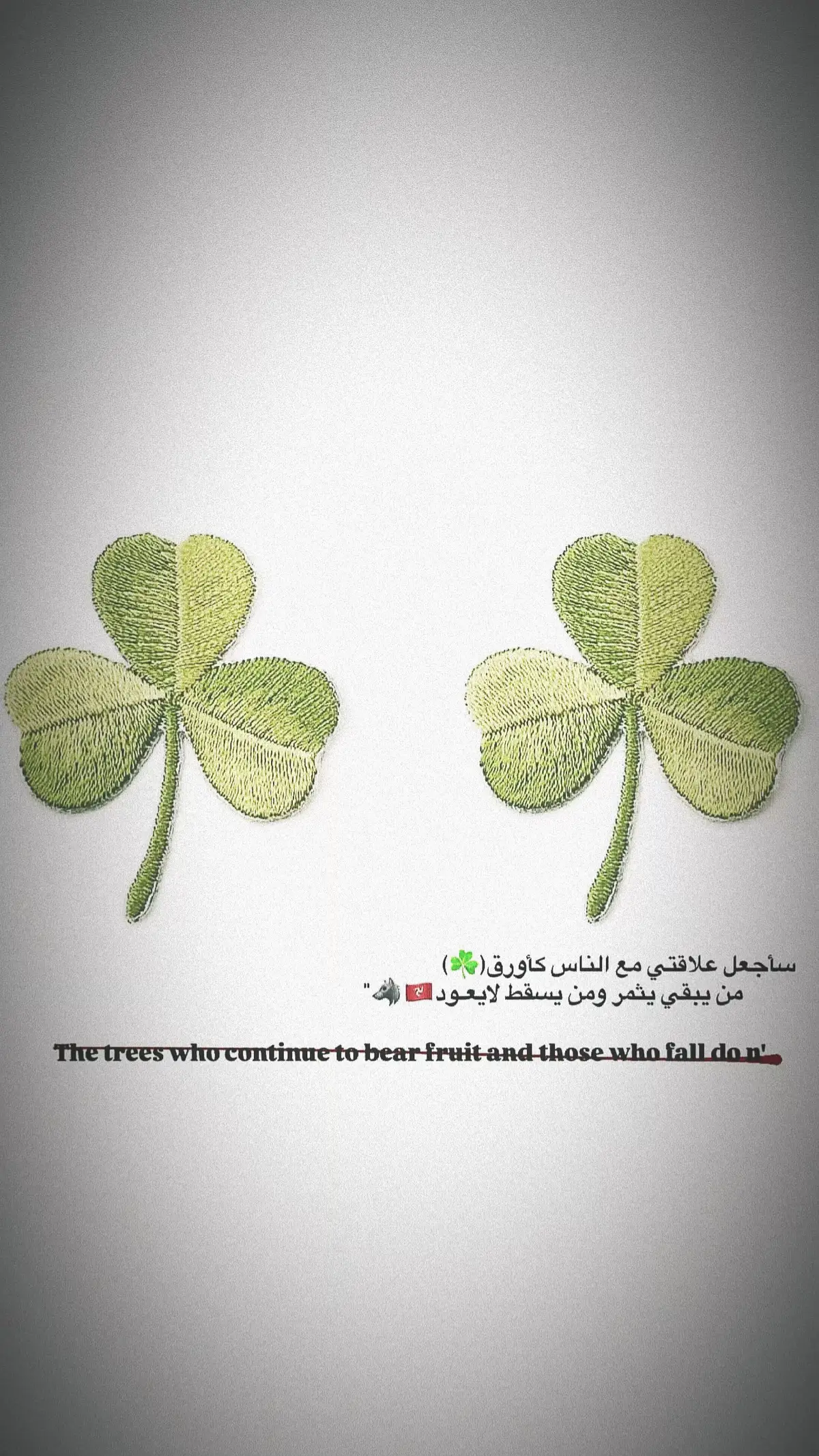 #ابو_عليه☘️ #اكسبلور #حي_جهاد #حي_حسين #دراجات_نارية🔥 