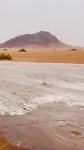 تالي حيااتي موت🚶🏻#محسن_دواس #fyp #tiktok #لايك 