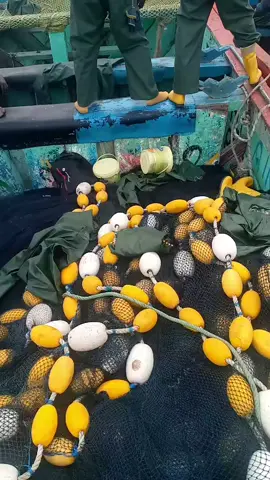 #senegalaise_tik_tok #tik #amine #abonne 