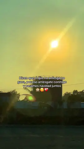 Arriesgate conmigo 🙈 #trailero #1028garuu #freightlinercondor #freightlinerclassicxl #arriesgateysefeliz 