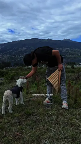 let it be #thebeatles 