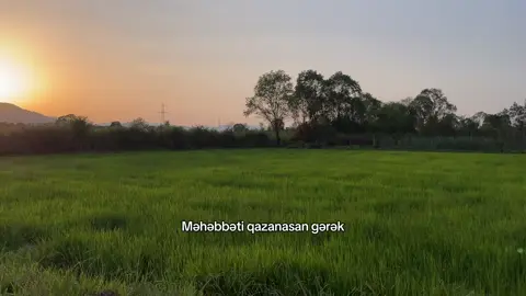 Məhəbbəti qazanasan gərək) #fypppppppppppppppppppppp #viralvideo #viral?videotiktok #fyppppppppppppp #fyppp 