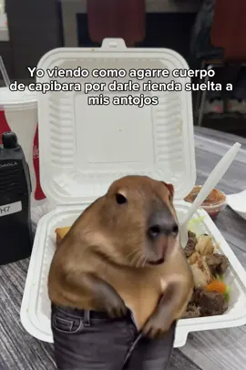 #Meme #🤣🤣🤣 #LIVEIncentiveProgram #ZeroToHero #PaidPartnership 