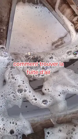 #maroco🇲🇦algeria🇩🇿tunisia🇹🇳