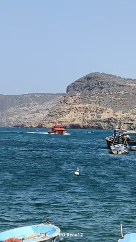 #شعب_الصيني_ماله_حل😂😂 #بني_صاف_جوهرة_الغرب #بحري #fypシ゚viral🖤tiktok #CapCut 