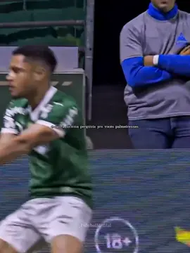 Tribunal de Tiago#palmeiras #flamengo #Libertadores 