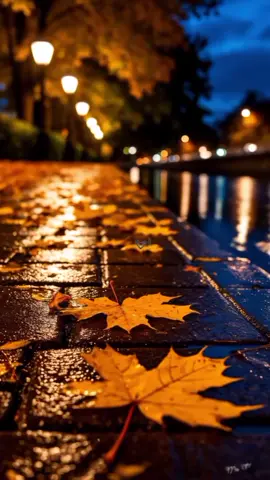 #🥺🥺 اخ اي والله للغربه صعبه 🥺