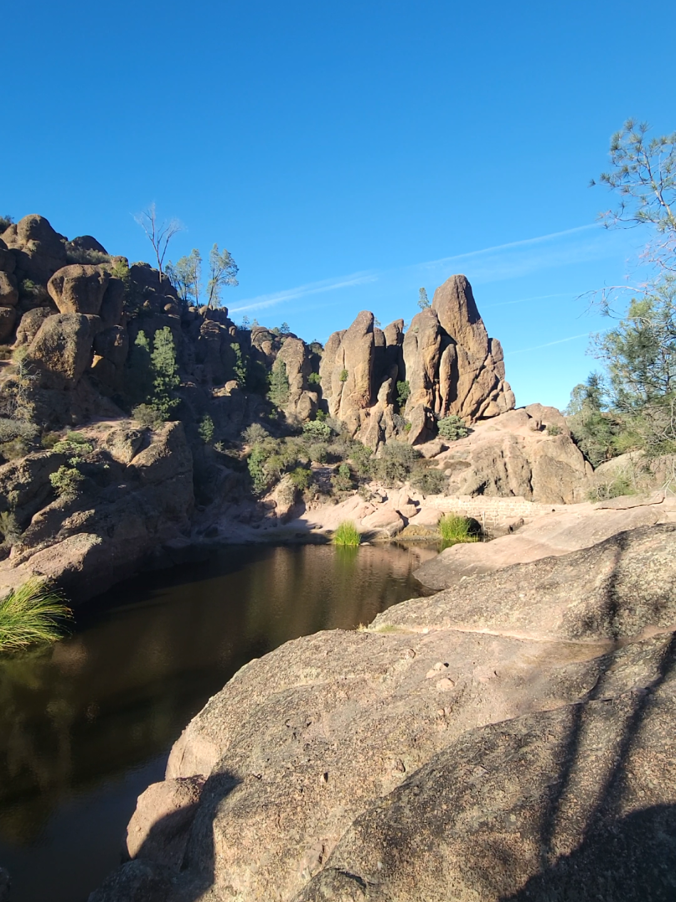 If its free, its for me. 