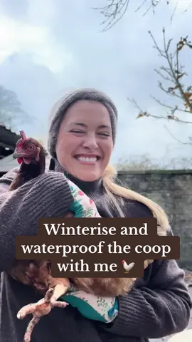Waterproof and winterise my Chicken coop with me 🐓  Nearly broke my neck, covered myself in chicken sh1t, but the girls are happy safe and warm  #chickens #chickencoop #homesteading 