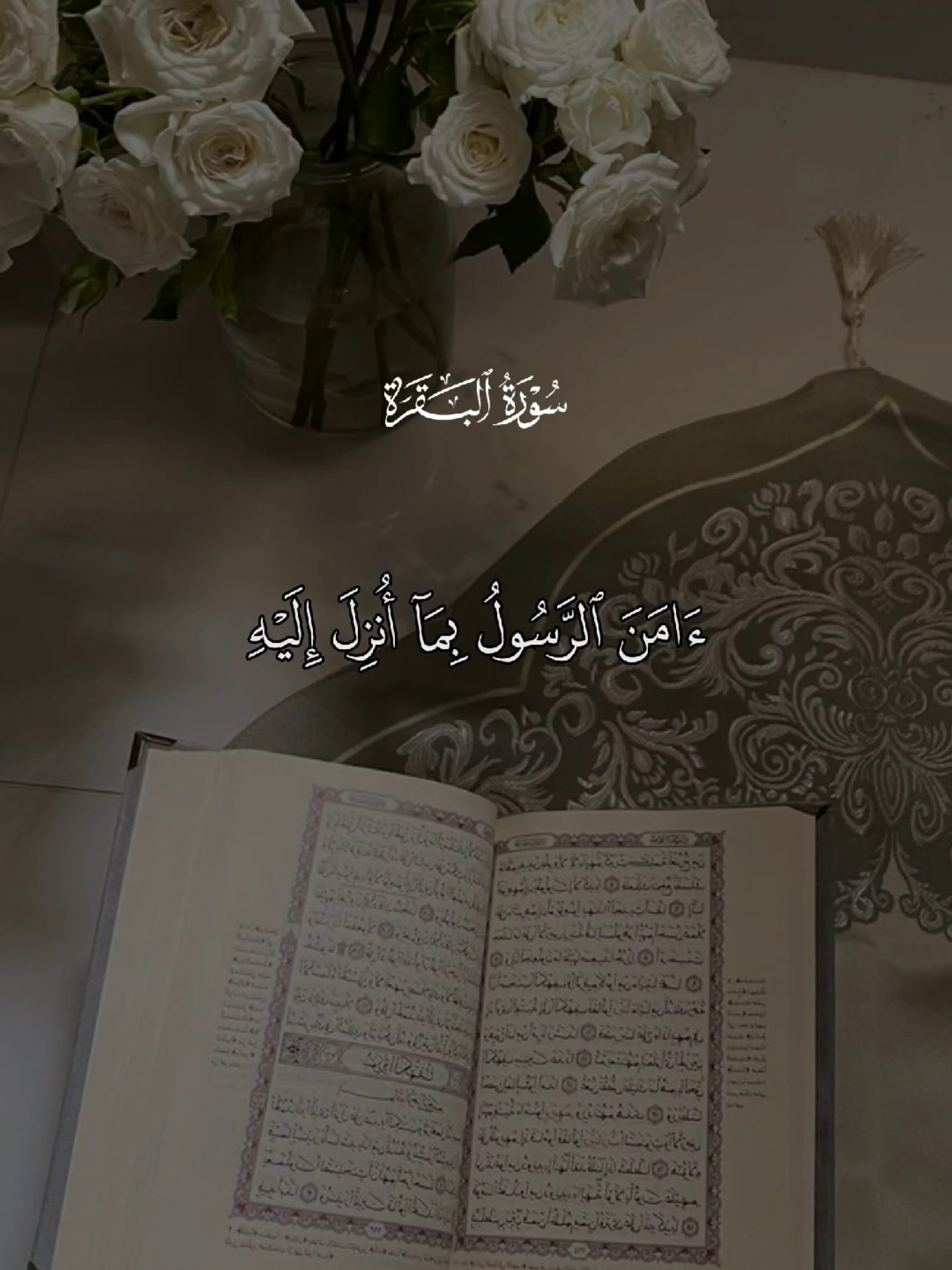 #قران #quran #قران_كريم #quran_alkarim #القران_الكريم 