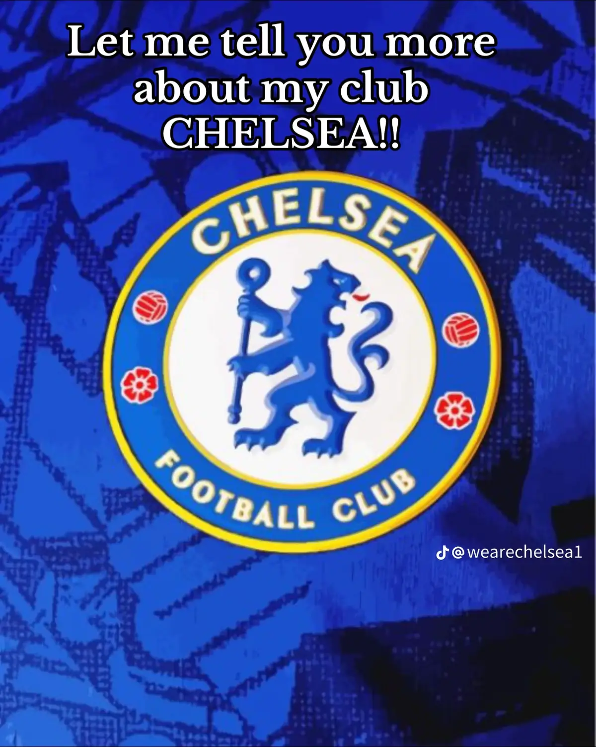 CHELSEA FC💙🔵 blue 💙🔵 is the color, football ⚽ is the game🥰💙💙 #fypgovitalticktok  @footballlovers💝 