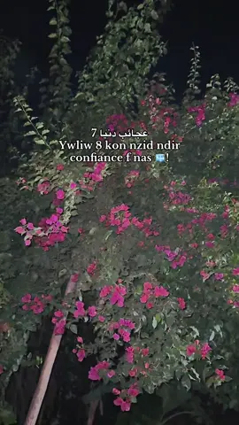 #fyp #الجزائر 