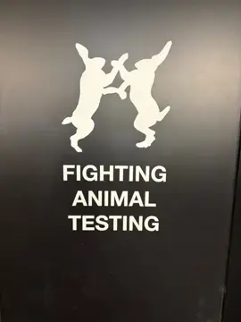 #BugsBunny #animals #cartoon #tv #rabbits 