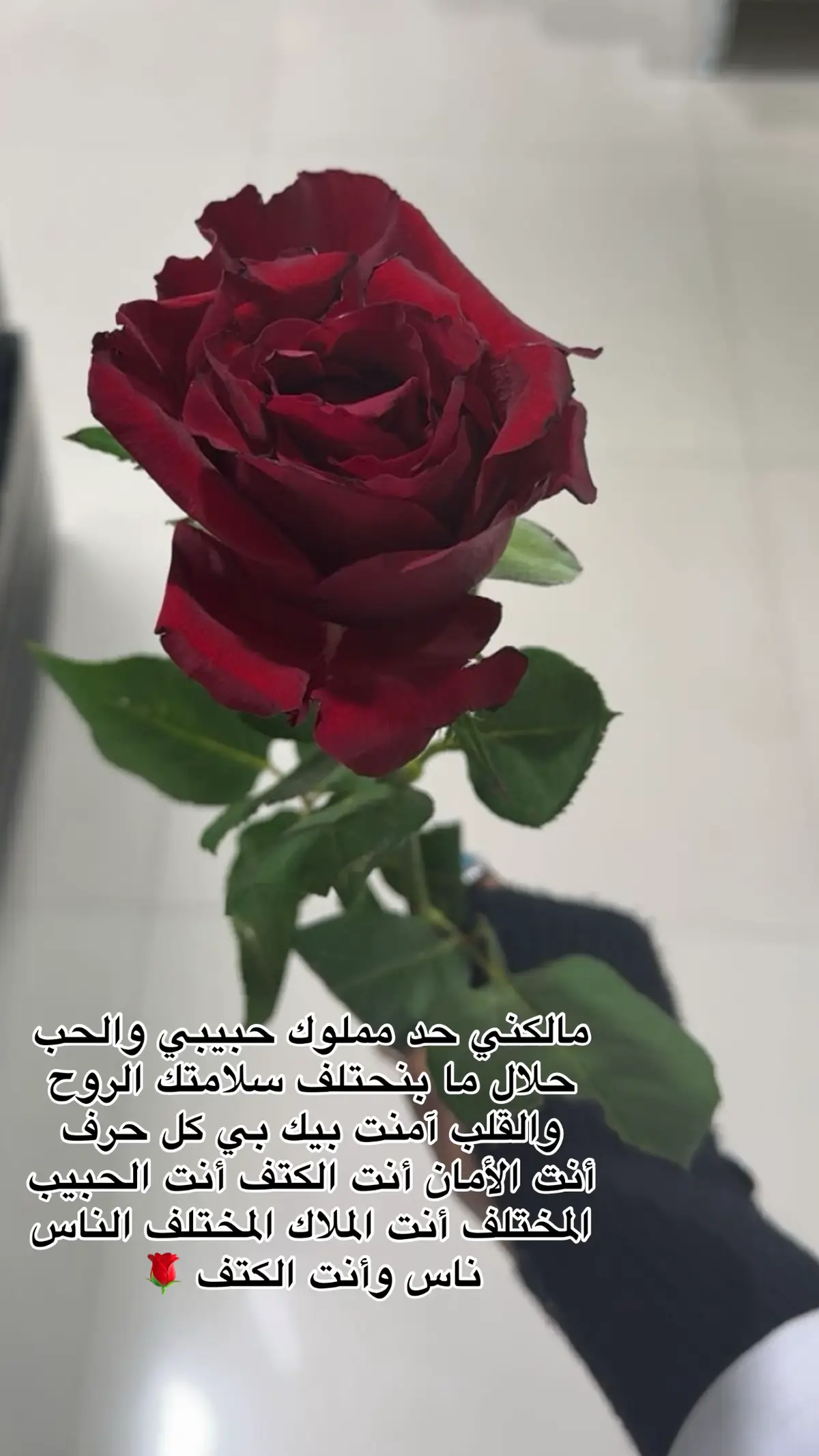 #سميره_دنيا_البرنسيسه #مشاهير_تيك_توك #الشعب_الصيني_ماله_حل😂😂 @Zoba Tashin.زوباطاشين  #سودانيز_تيك_توك_مشاهير_السودان💜🇸🇩💜 