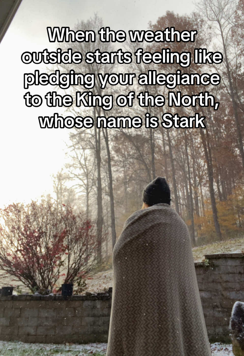 Winter is coming ❄️ #fyp #viral #GOT #winteriscoming #gameofthrones 