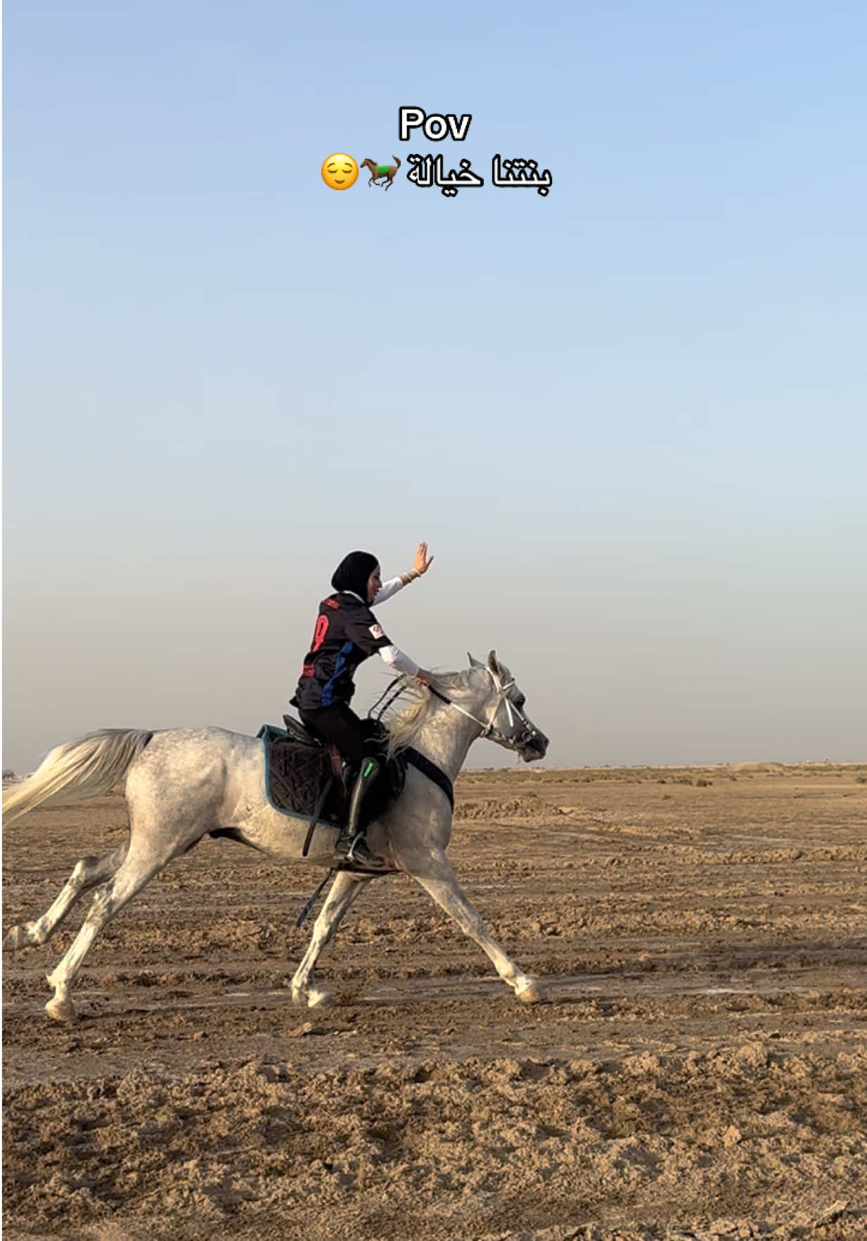 #وفاءحسن #خيل_وخياله🐎 #خيل_عربي_اصيل🐎🐎 #الخيول #شعب_الصيني_ماله_حل😂 