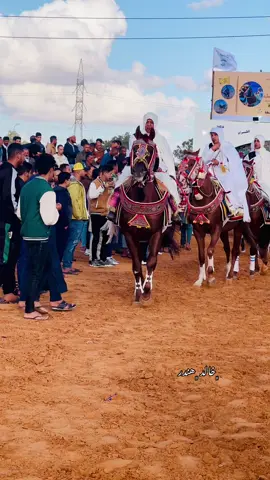 #ربي_يبارك_مشالله❤ #خيل_وخياله🐎 