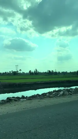 🤍 #flyyyyyyyyyyyyy #viralvideo #no #movie #natural 