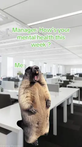 #Meme #memestiktok #corporatehumour #workhumour #memecut  