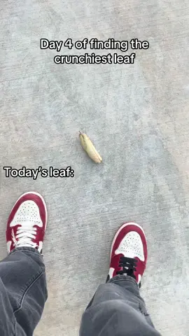 Thank my sister for this one | follow for another crunch tomorrow #viral #fyp #leafcrunch 