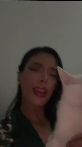 NONCHALANT CAT 😭#fyp #cat 