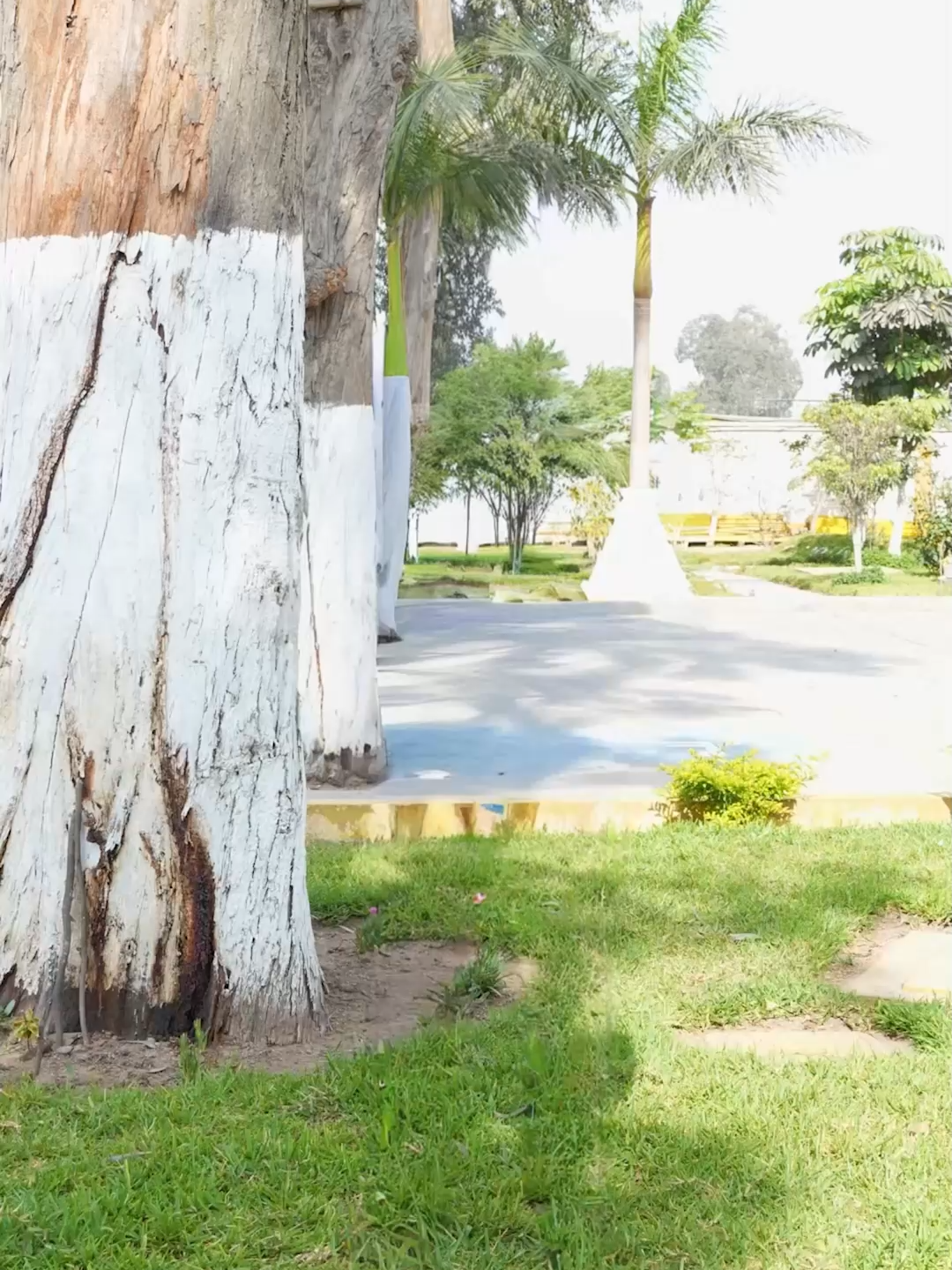 🎯 ¿Ya no quieres tener más hijos? Entonces es momento de tomar una decisión segura y definitiva. 👨‍⚕️ Del 17 al 21 de noviembre participa en la Jornada Nacional de Vasectomía. Acércate al servicio de Planificación Familiar de tu hospital más cercano con tu DNI. ✅ Método definitivo ✅ Gratuito ✅ Rápido y sin hospitalización ✅ Y sí… tu vida sexual sigue igual 😉🔥 Infórmate bien y decide con responsabilidad. 💪 ¡Sigue con potencia, sin consecuencias! #fyp #saludsexual #gratis #vasectomia