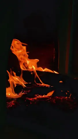 #شعر #شبة_ضو #اكسبلور #ماجد_النصيف #اكسبلورexplore #foryou #fypシ゚ #ترند 