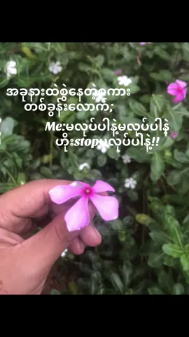 ဘာစွဲနေလဲဖြေခဲ့🙄#fyppppppppppppppppppppppp #မလုပ်ပါနဲ့မလုပ်ပါနဲ့ဟိုးstopမလုပ်ပါနဲ့ #foryoupage #livephoto #thantharmoetheint 