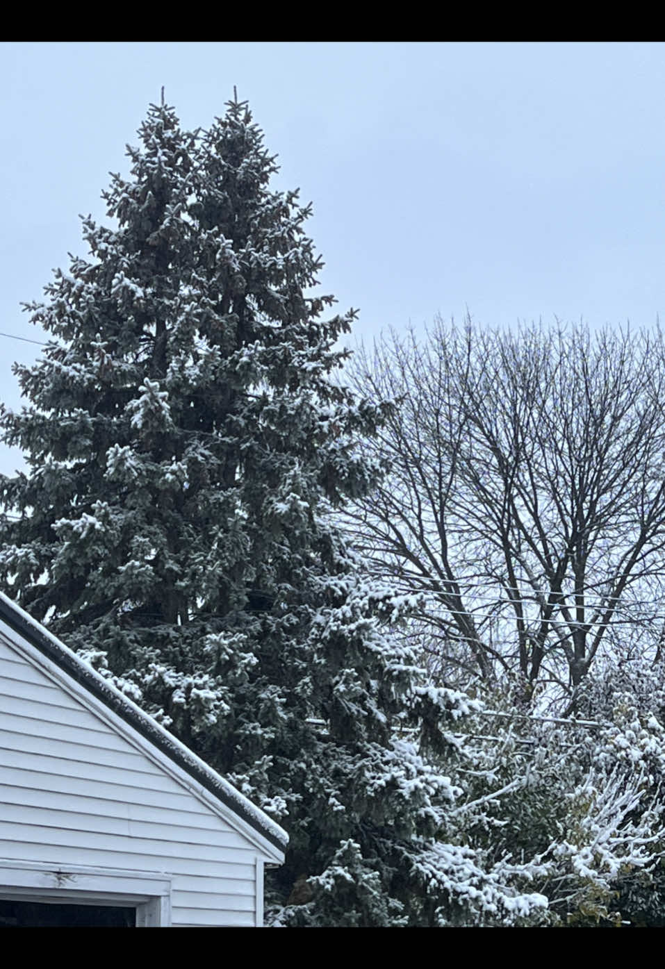 helloo its so cold and snow hello??#fyp #alt #14 #ohio 