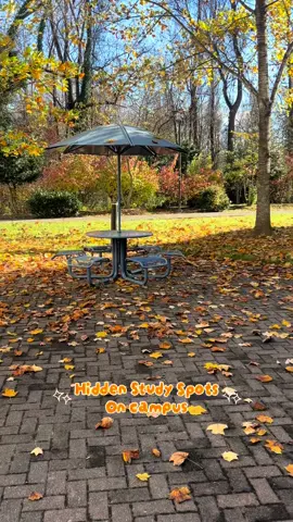 HIDDEN STUDY SPOTS ON CAMPUS 🧡 it's important to utilize these places especially being someone who has a short attention span, USE THE RESOURCES YOU PAY FOR!!!! - - - - #morganstateuniversity #fypシ #collegelife #relatable 