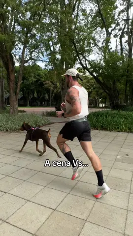 O meu filmmaker da a vida pelo take 😂 #cachorro #doberman #nero