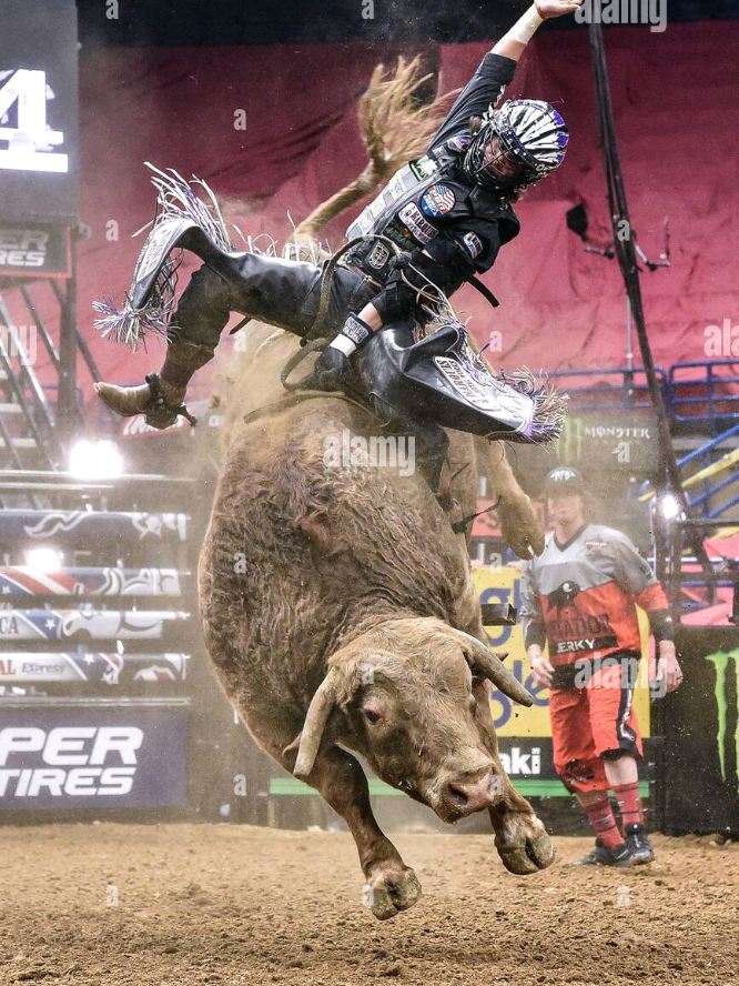 PBR UTB 2018: Stetson Lawrence 🇺🇸 VS Wild Goose 🧬🇺🇸 #fy #pbr #unleashthebeast #monterenergy #2025 