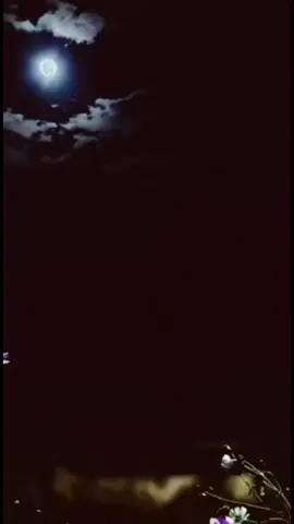 #کەرکوك شاری شارانم#