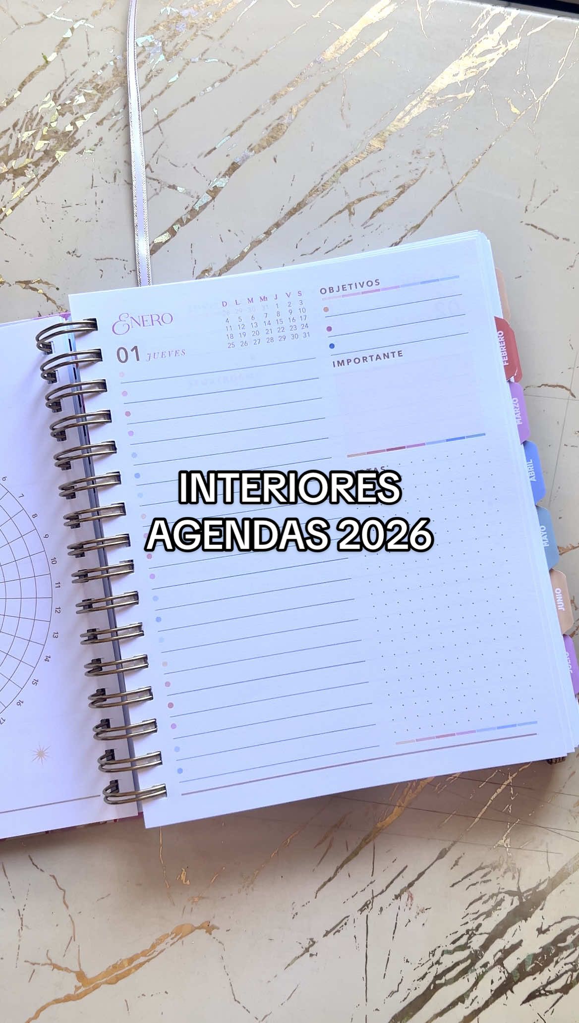 ¿Cuál formato prefieres? 📒 #agenda #papeleriabonita #hechoamano #diseño 