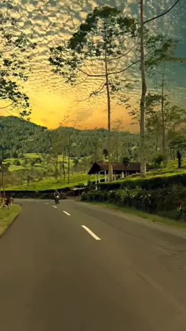 #LIVEIncentiveProgram #ZeroToHero #PaidPartnership 