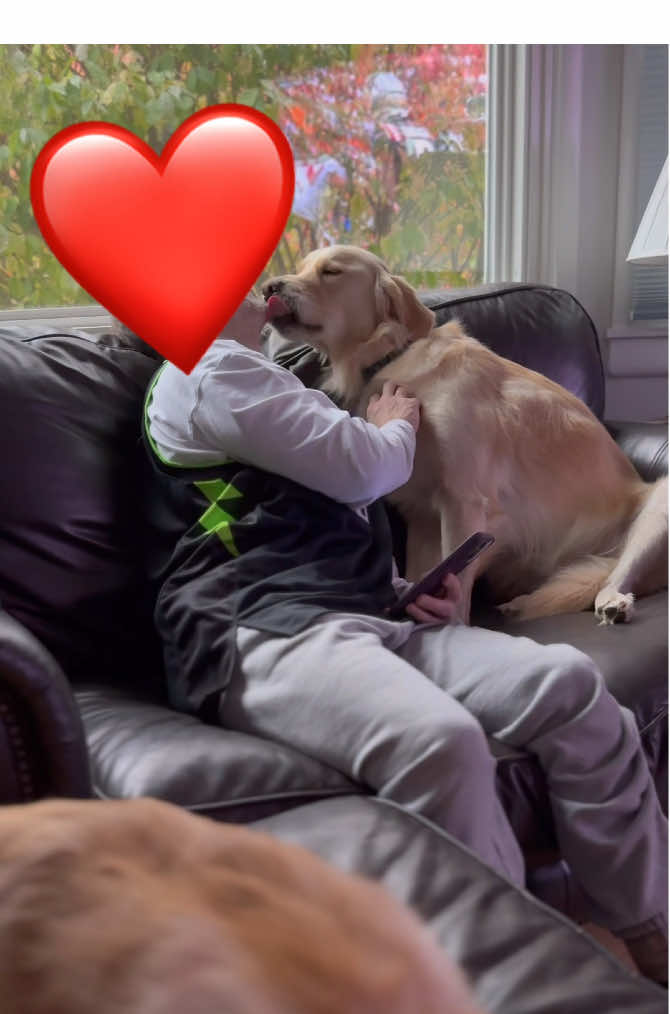 The best kisser #goodkisser  #dogkisses  #doglove  #doglover  #doglovers  #dogloversoftiktok  #goldenretriever 