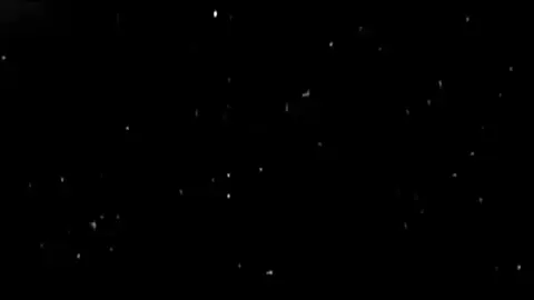 انا بابا في شغلتي..... #فهد_عمادعوده #محمد_البصيلي #محمد_البصيلي_انتظرو_كل_جديد #foryoupage #تصميم_فيديوهات 