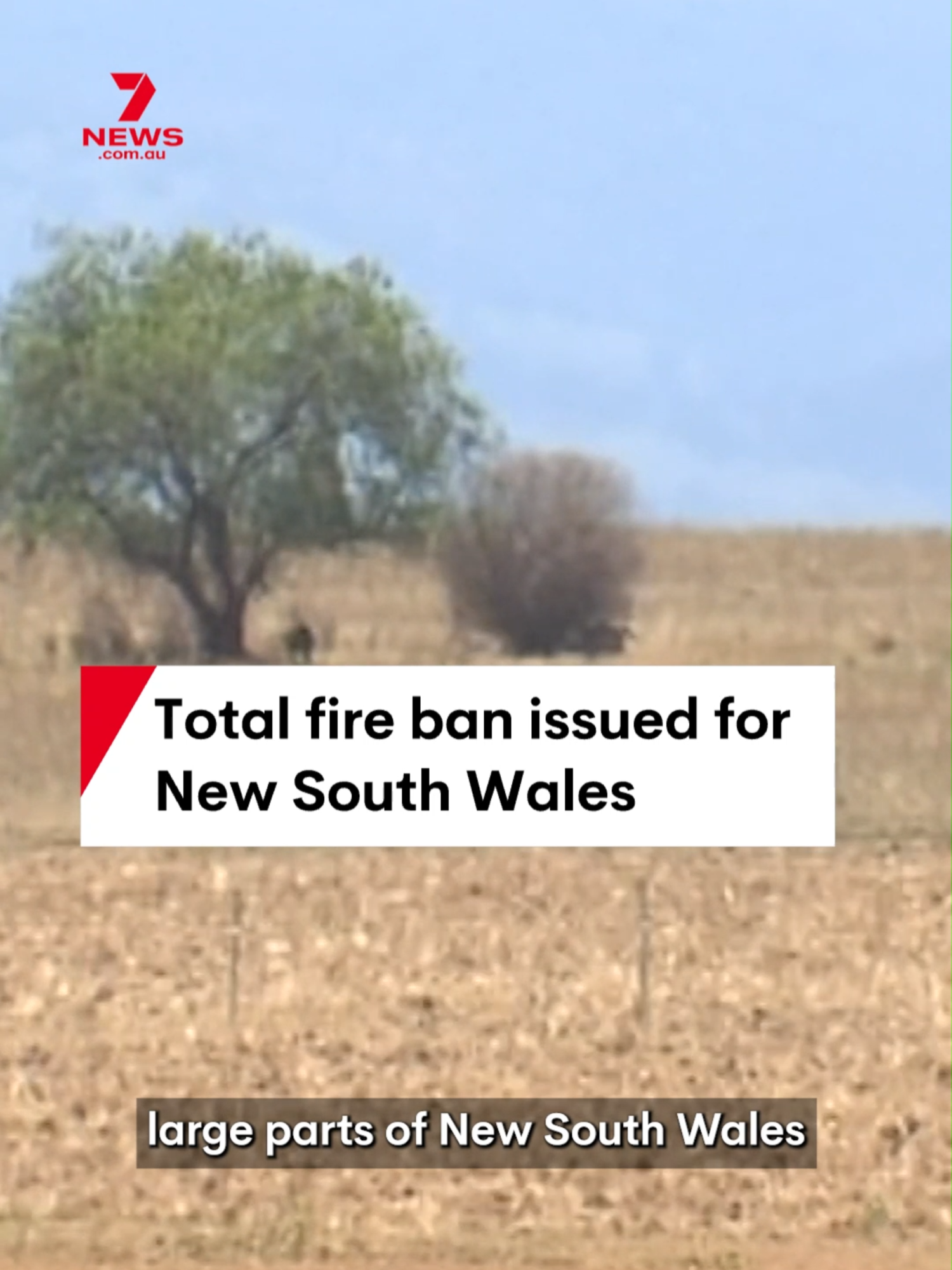A total fire ban is in place across New South Wales as extreme heat is forecast across the state. #fire #fireban #totalfireban #nsw #fireseason