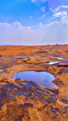 #الطويل_راف_الحصان #الشتاء_البرد_اجواء_شتوية 