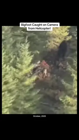 *NEW CLEAR FOOTAGE* Bigfoot Spotted from a Helicopter! #foryou #bigfoot #bigfootsighting #caughtoncamera #scary 