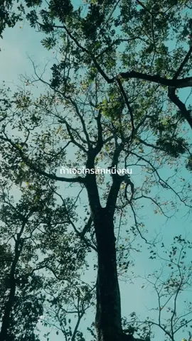 ถ้าได้รัก ถ้าได้ใส่ใจ พฤติกรรม + การกระทำ จะทำให้รับรู้เอง 🤍🖤#สตอรี่ความรู้สึก 