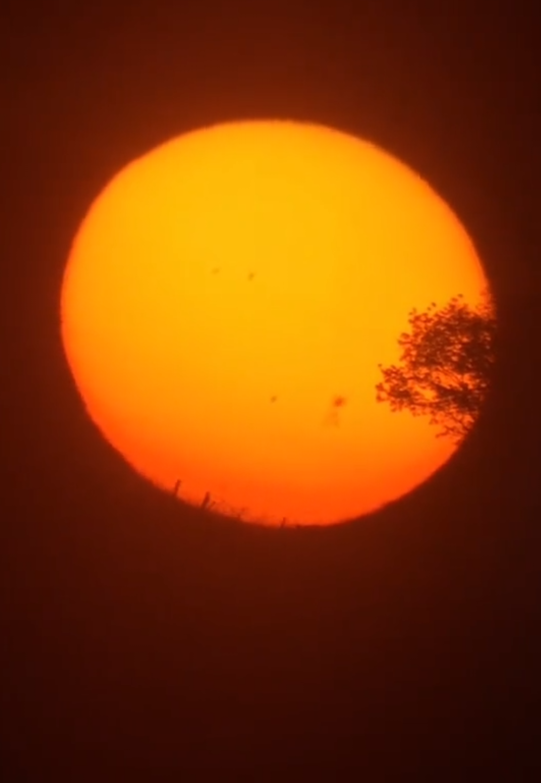 Pôr do sol em um dia de verão. 🌄📸 #sunset #Astronomy #pordosol  #timelapse #sun 