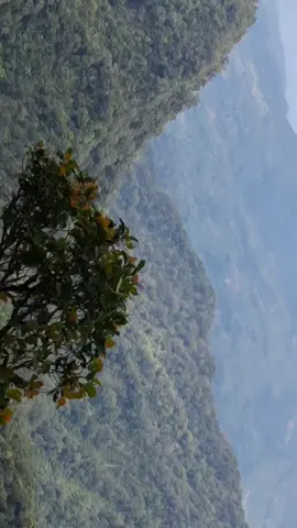 #lampung #gununglampung #puncakpesawaran #puncakseribugunungpesawaran #adventure 