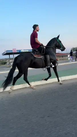 Ehhhhhhh égua 😍😍🤌🏻 #viral #foryoupage #cavalo #fouryou #mangalargamarchador 