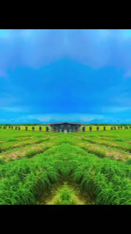 Mong mn ghé thăm.... chúc cả nhà ngày mới zz... mãi iu ạk🤭😜🥰#viral #xuhuong #xuhuongtiktok #capcut 