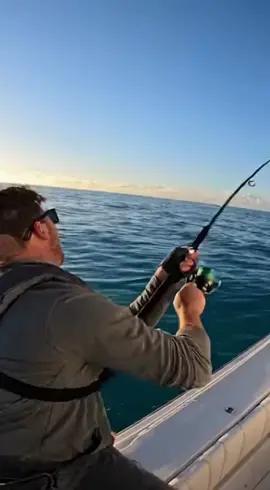 @reelweather. thats a big one!!! #fishforecast #fyp #bigfish #app 