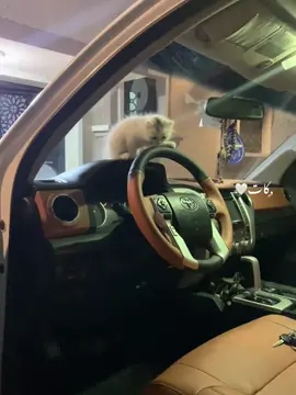 ﮼كات❣️❣️❣️❣️❣️❣️❣️❣️😅.        ﮼تصوري❤️‍🔥.                                       ﮼طبرق#﮼العبيدات.❤️‍🔥👋🏾                         