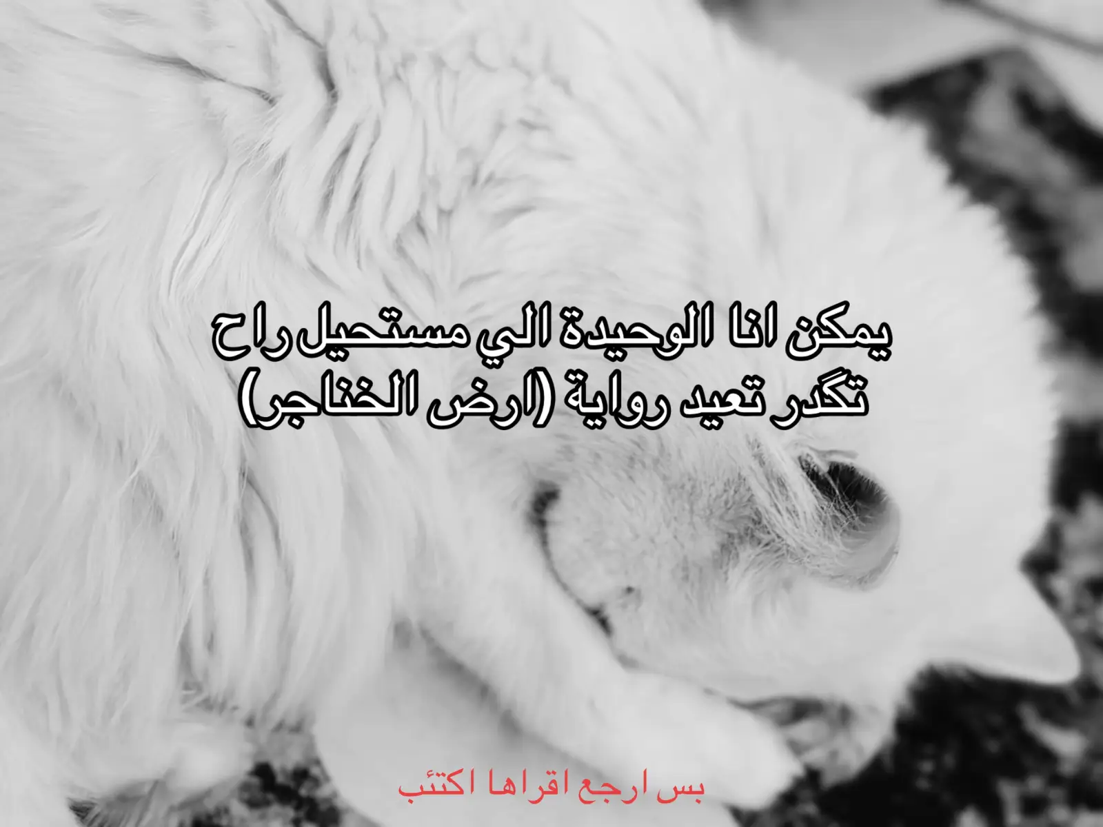 #مادري #ارض_الخناجر #fyp 